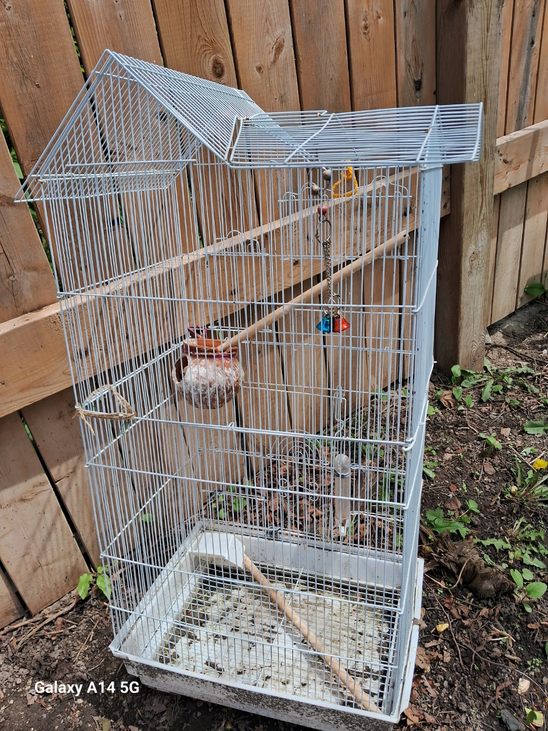 Bird Cage with Perches and Toys