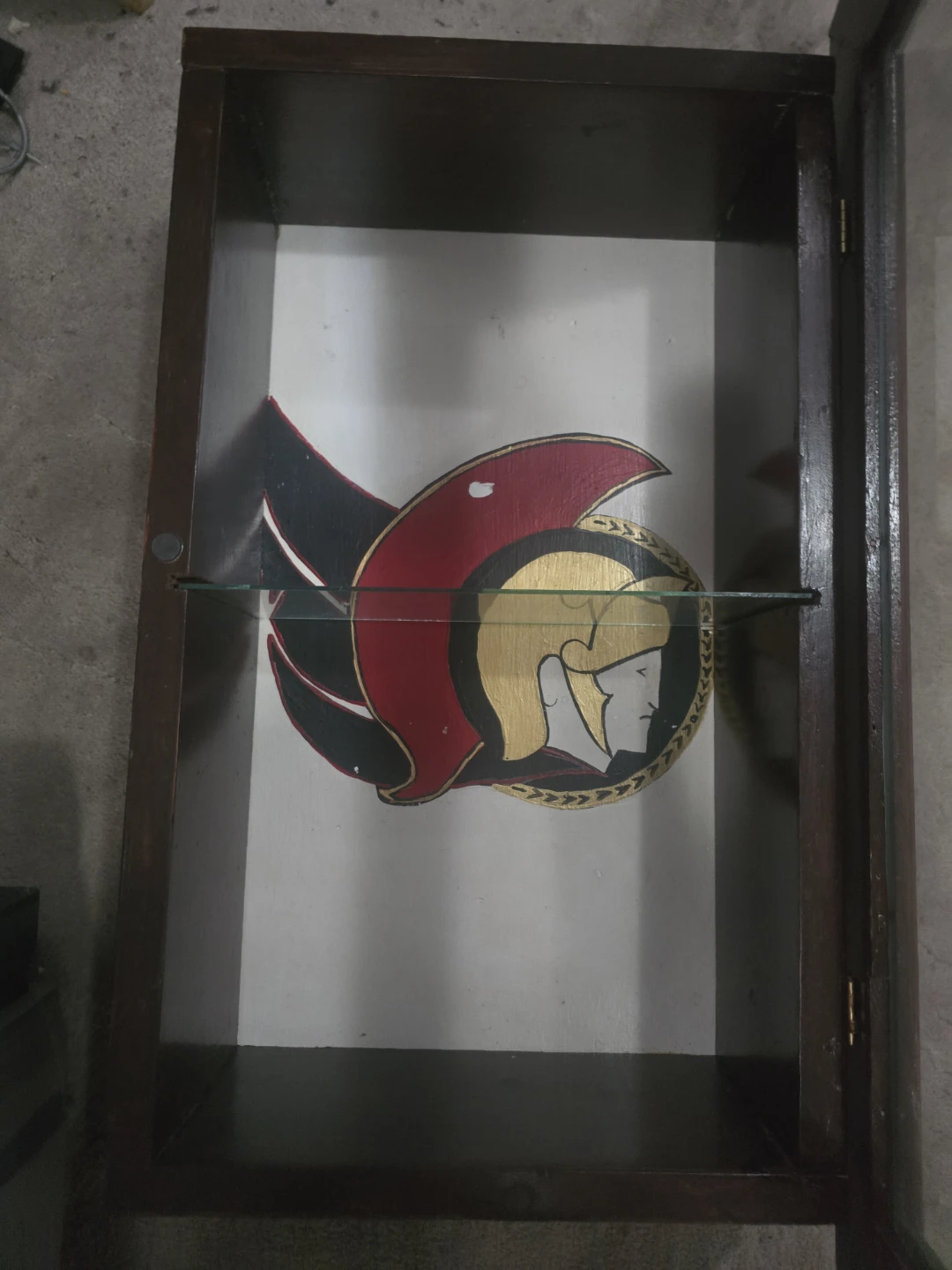Ottawa Senators Shadow Box Display Case - photo 2
