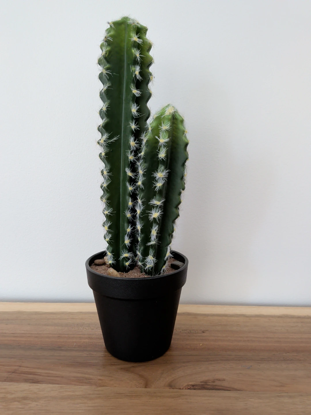 Artificial Cactus Plant in Black Pot