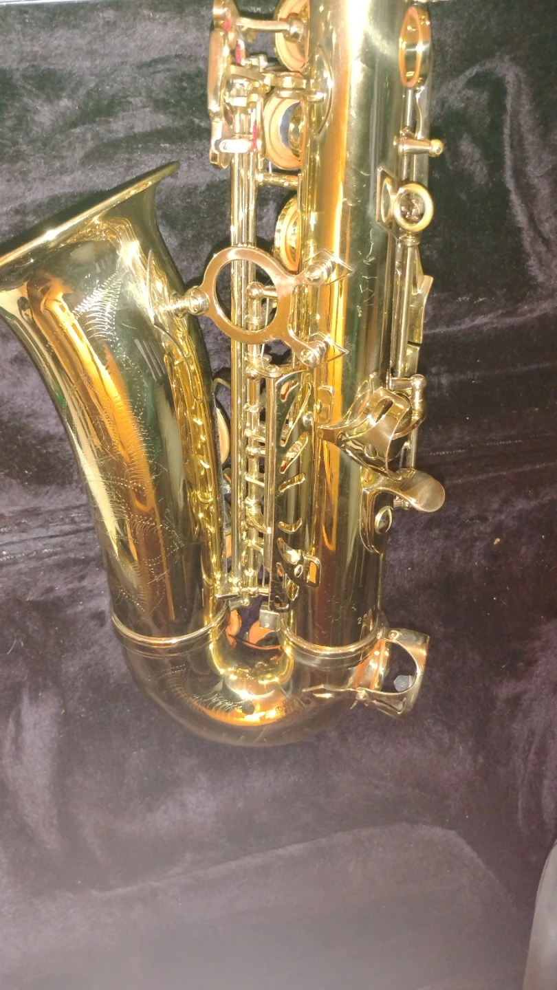 Alto Saxophone with hard Case - photo 3