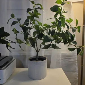 Artificial Plant in White Pot