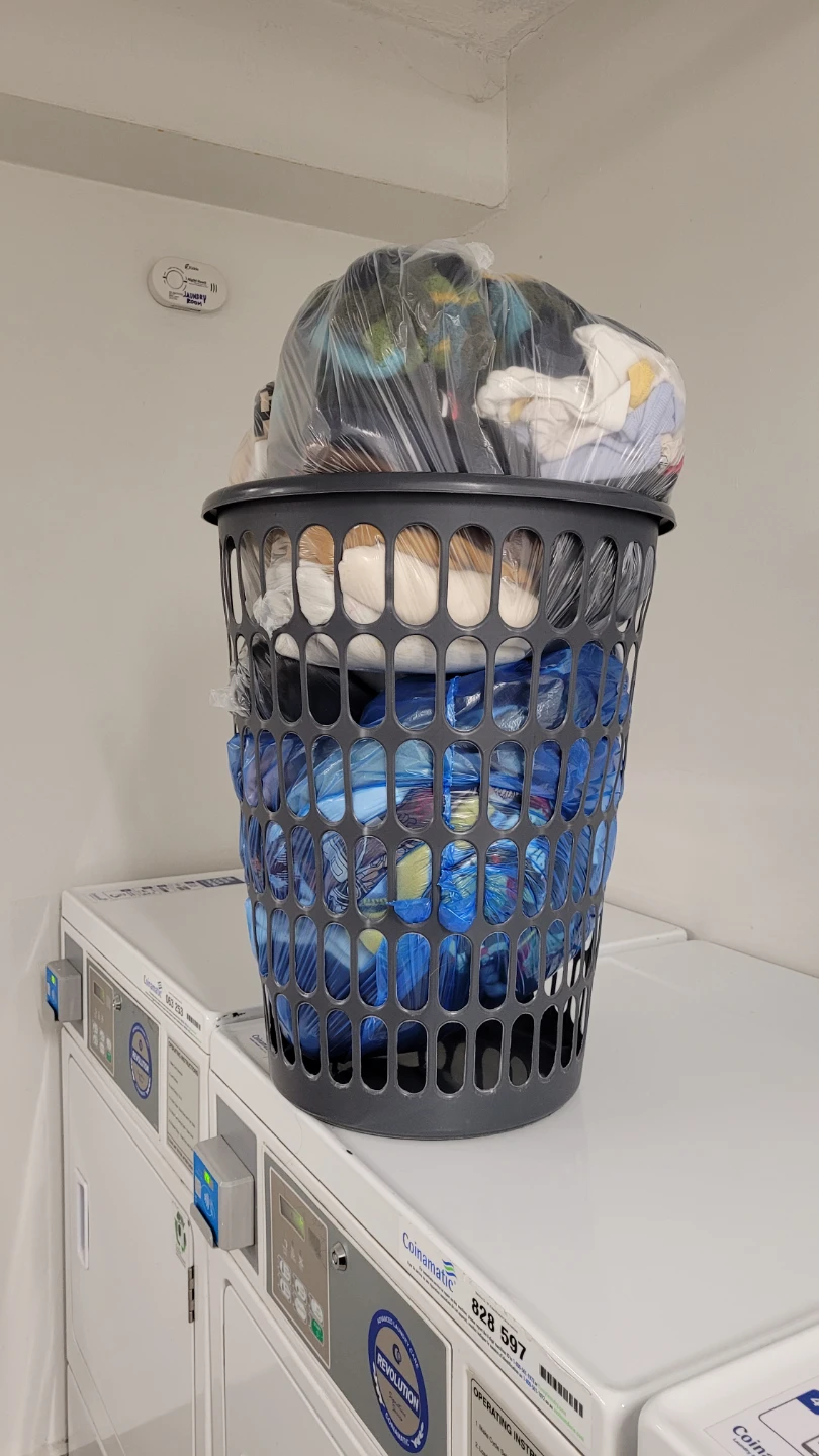 Local Laundry Help - photo 2