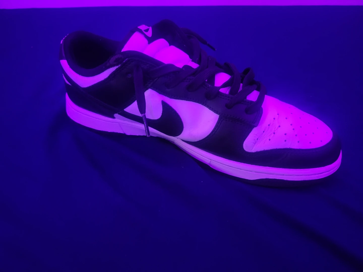 Nike Dunk Low Black White Sneakers