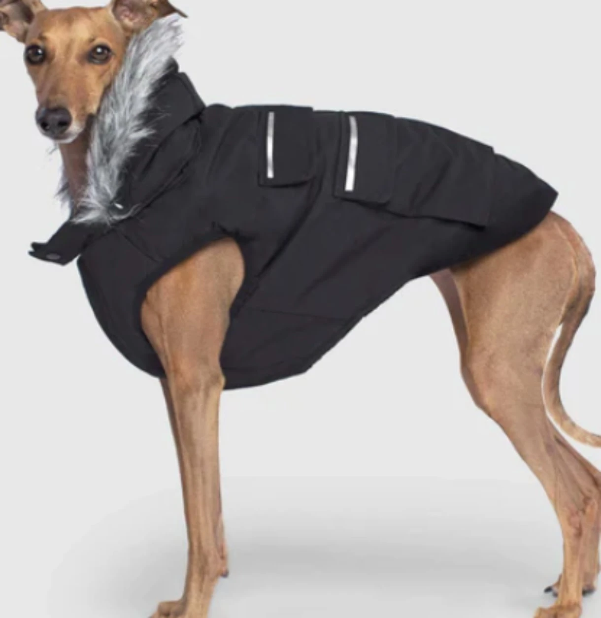 Canine Canada Pooch Coats - photo 3