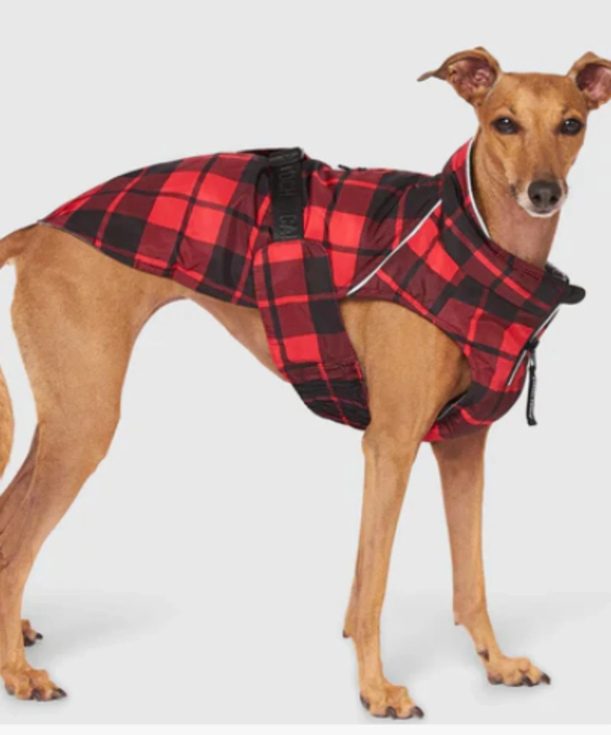 Canine Canada Pooch Coats - photo 5