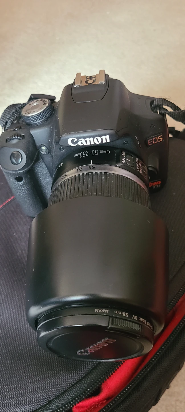 Canon EOS Digital Camera with EF-S 55-250mm Lens