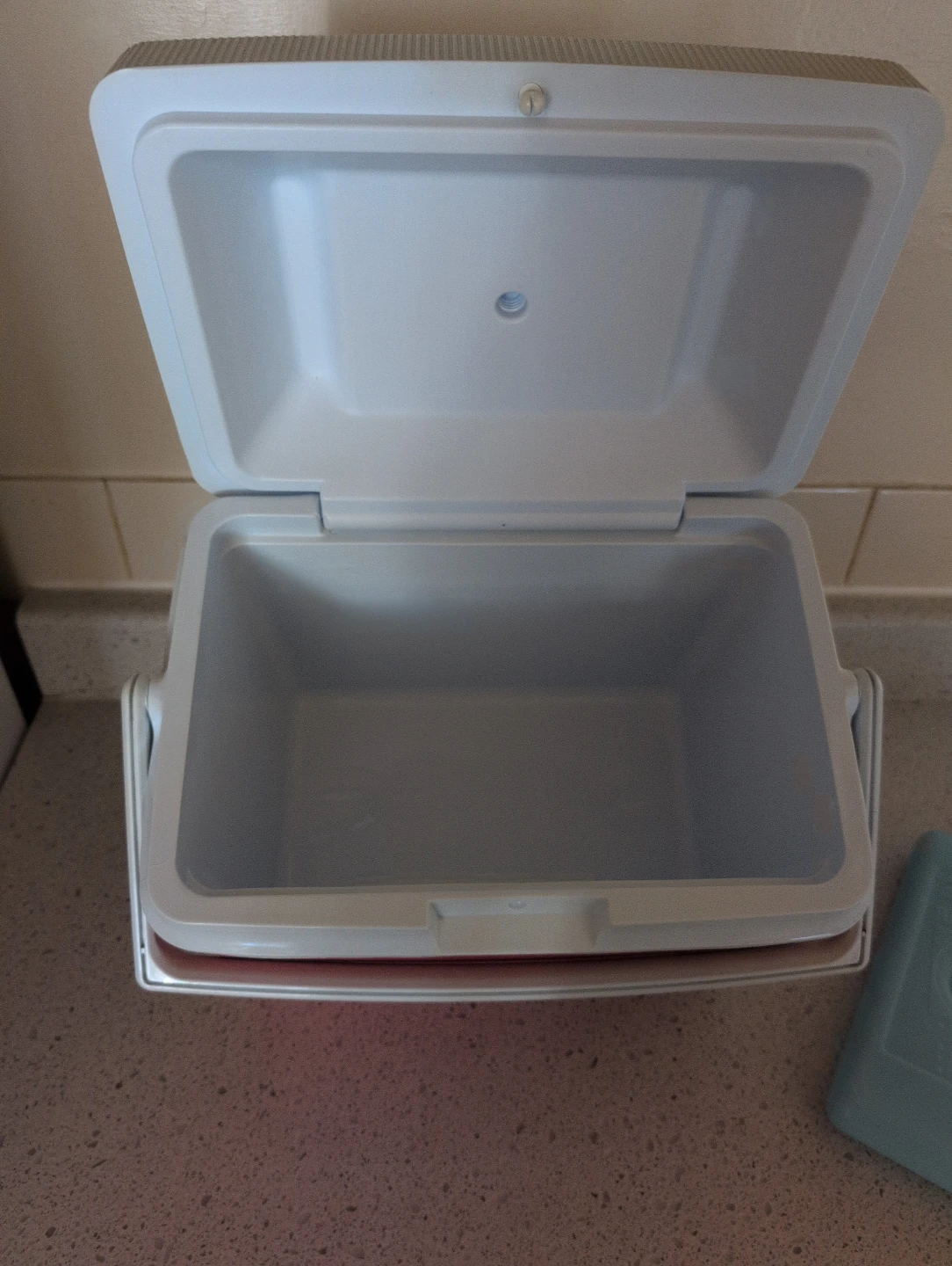 Red and White Cooler with Ice Packs - photo 4
