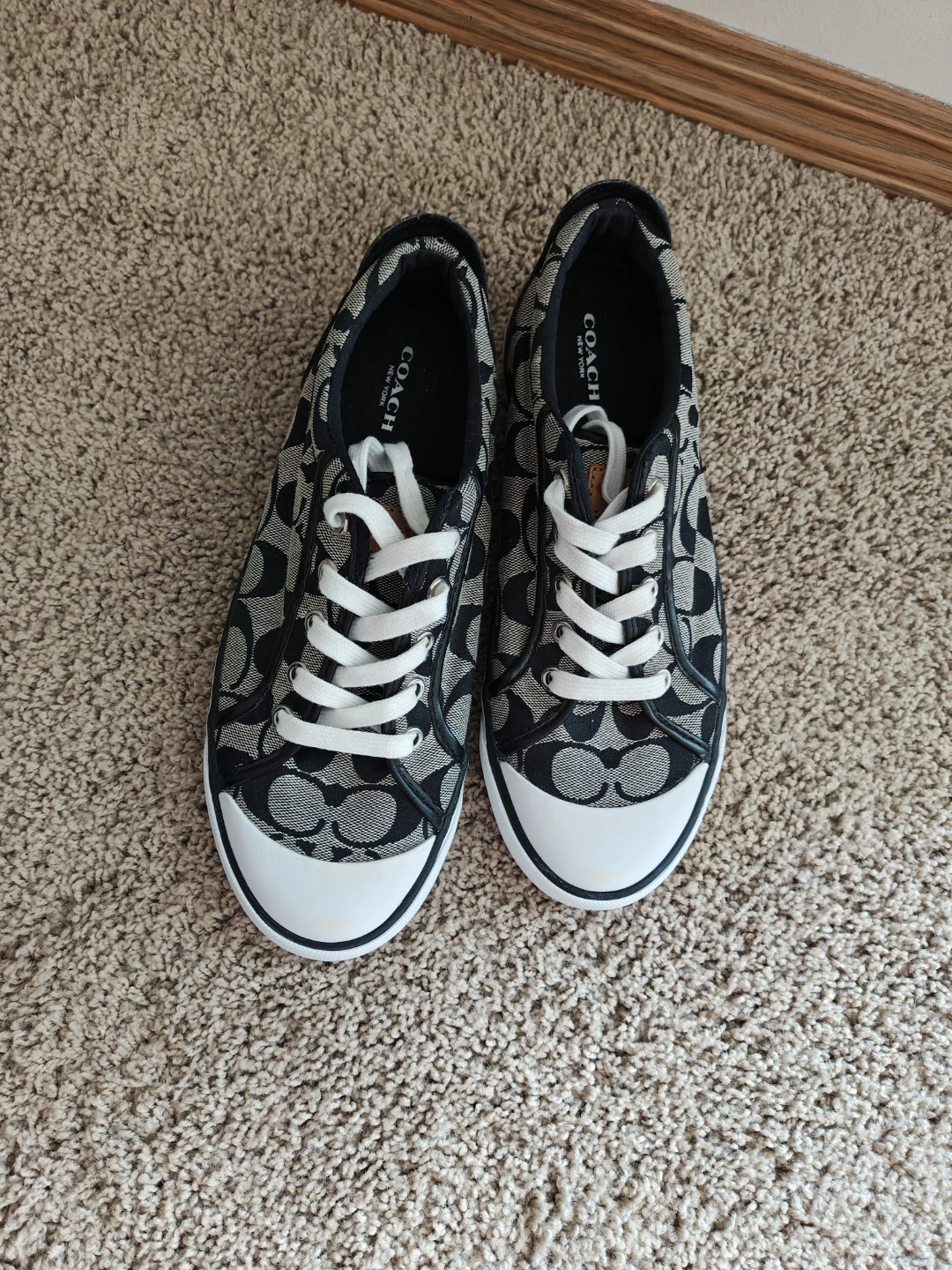 Coach Canvas Signature Sneakers