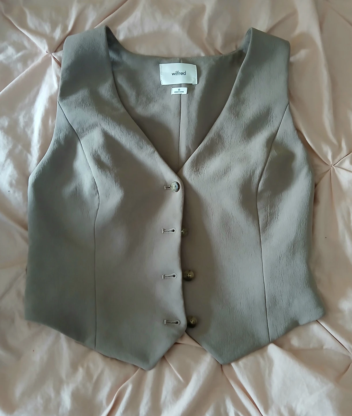 Aritzia vest
