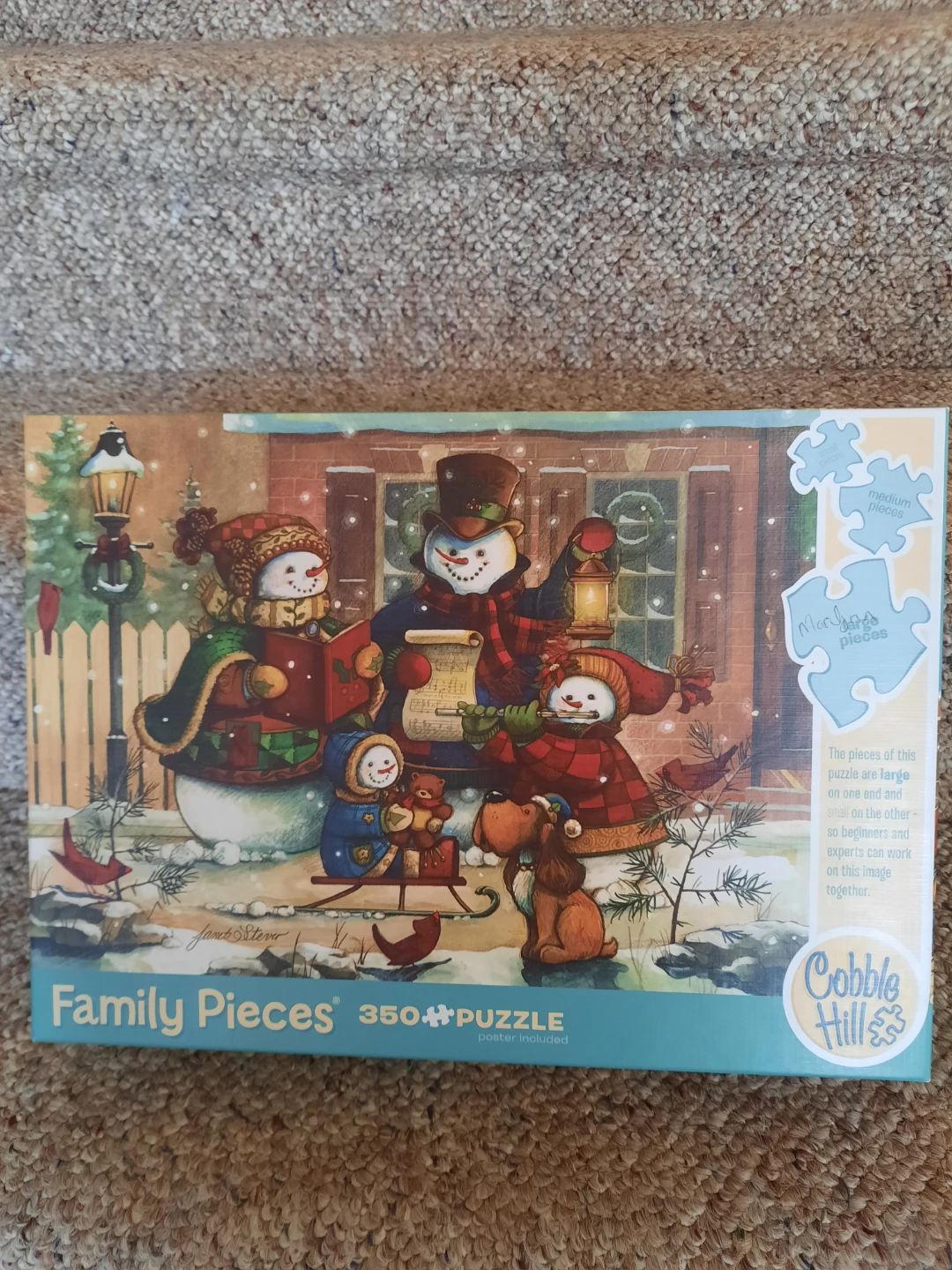 Cobble Hill Family Pieces 350 Piece Puzzle