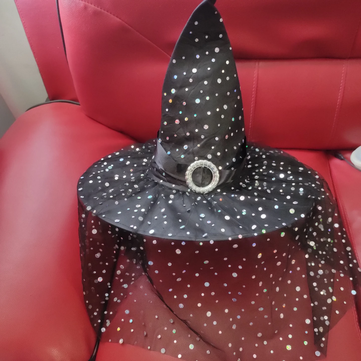 Black Witch Hat with Glittery Dots and Veil & blackcape