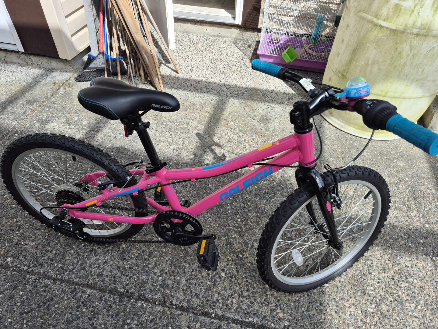 Raleigh Vibe Youth Bike - 20-inch, Pink