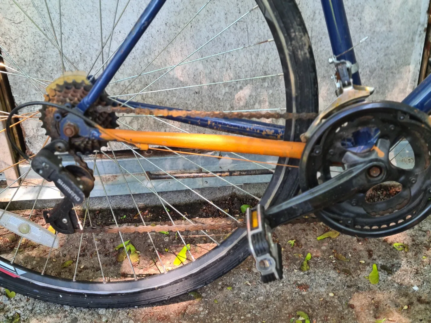 Circuit Road Bike - photo 3