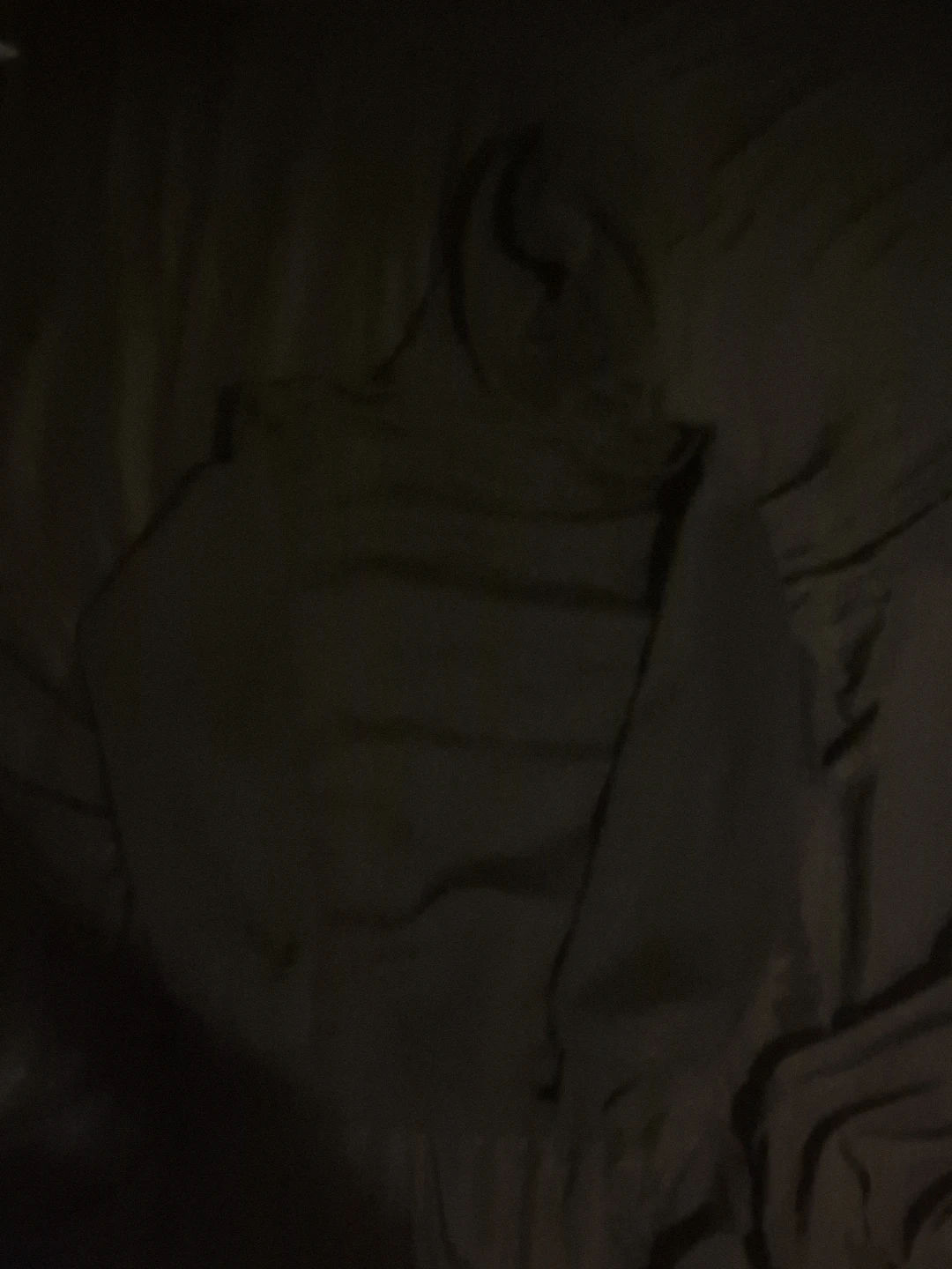 Polo Bear by Ralph Lauren Hoodie - photo 2