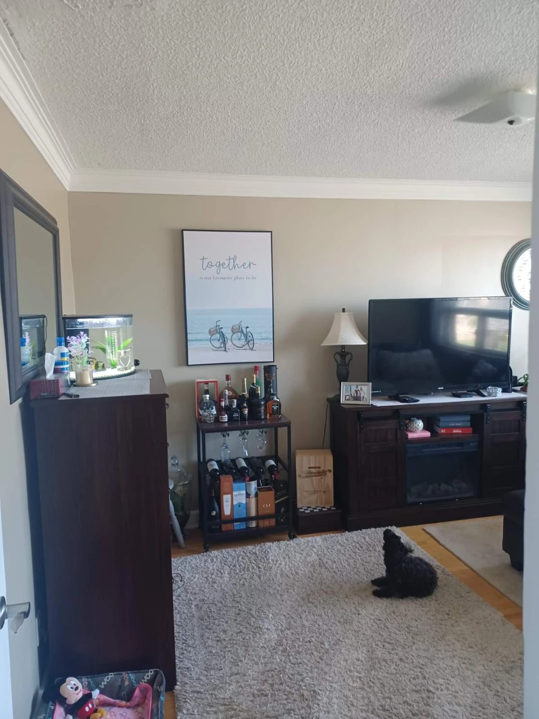 Private room for rent