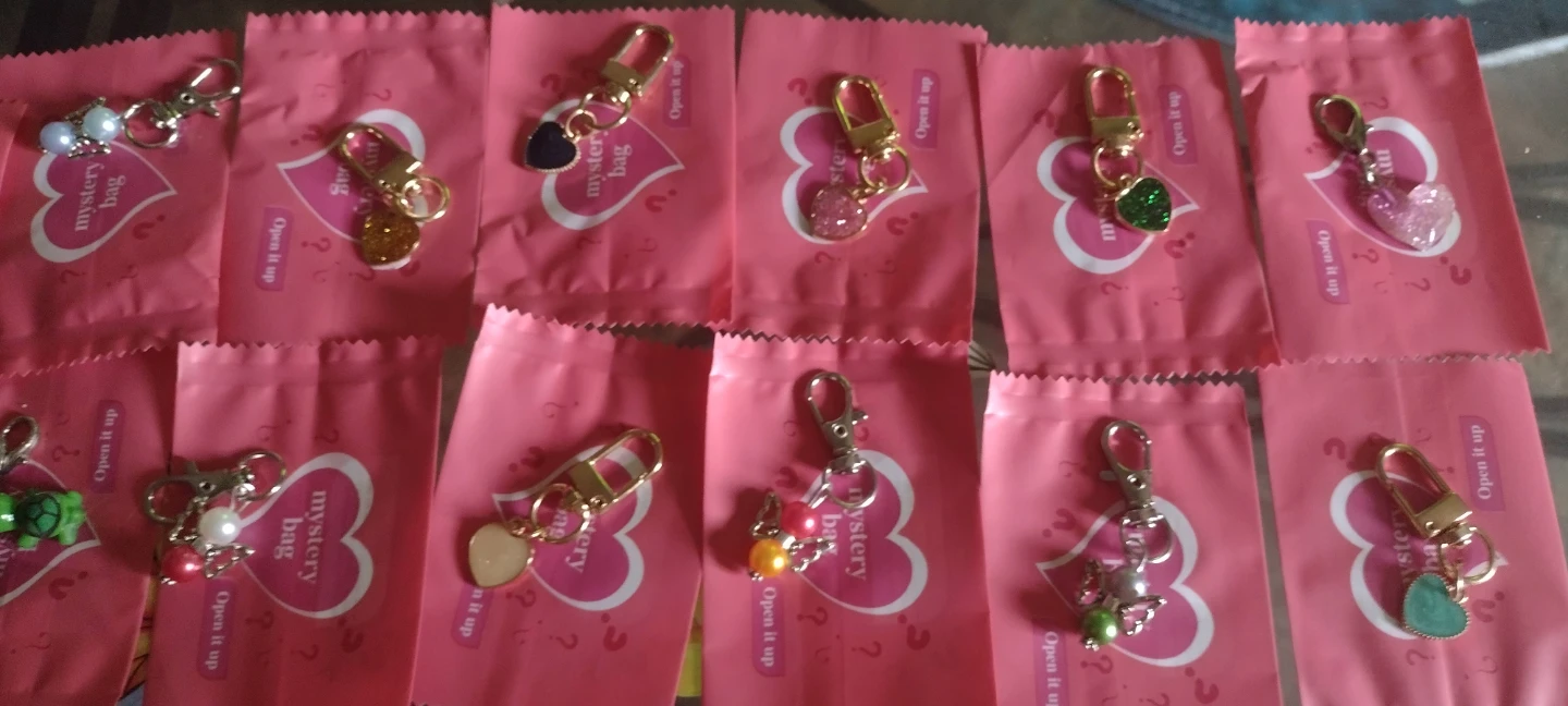 Mystery Bag with Zipper pull charms