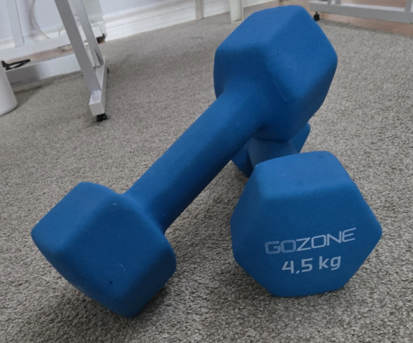 GoZone Dumbbells - 4.5 kg Pair