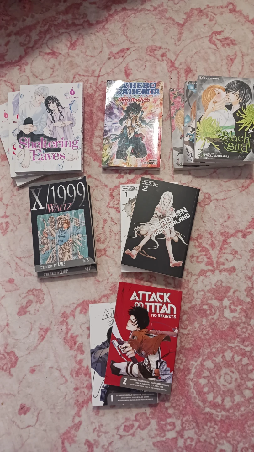 Manga lot
