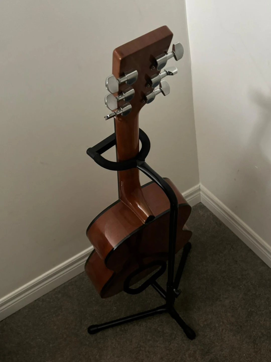 Denver Acoustic Guitar with Gig Bag