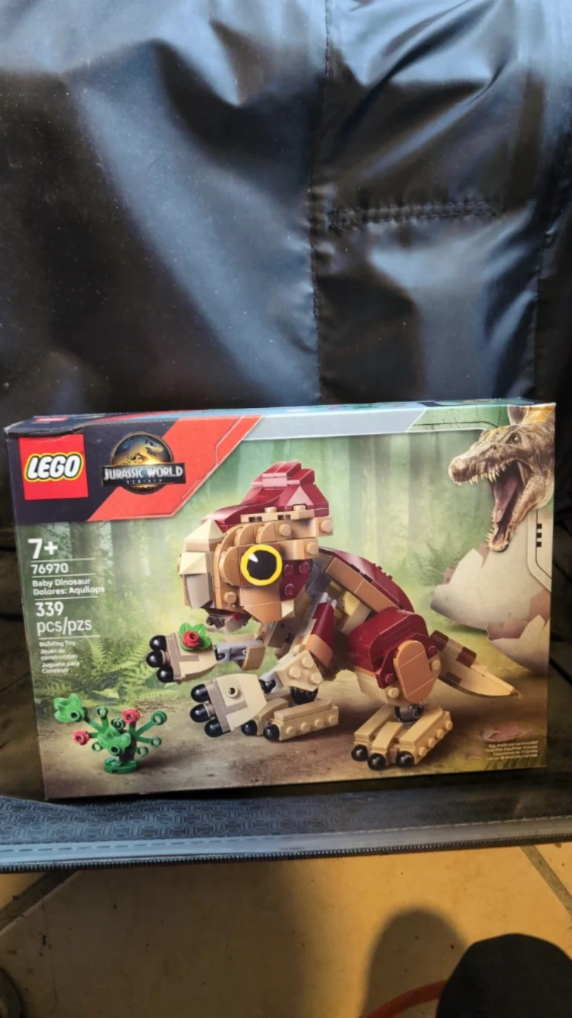 LEGO Jurassic World Baby Dinosaur & LEGO Botanicals Happy Plants - photo 3