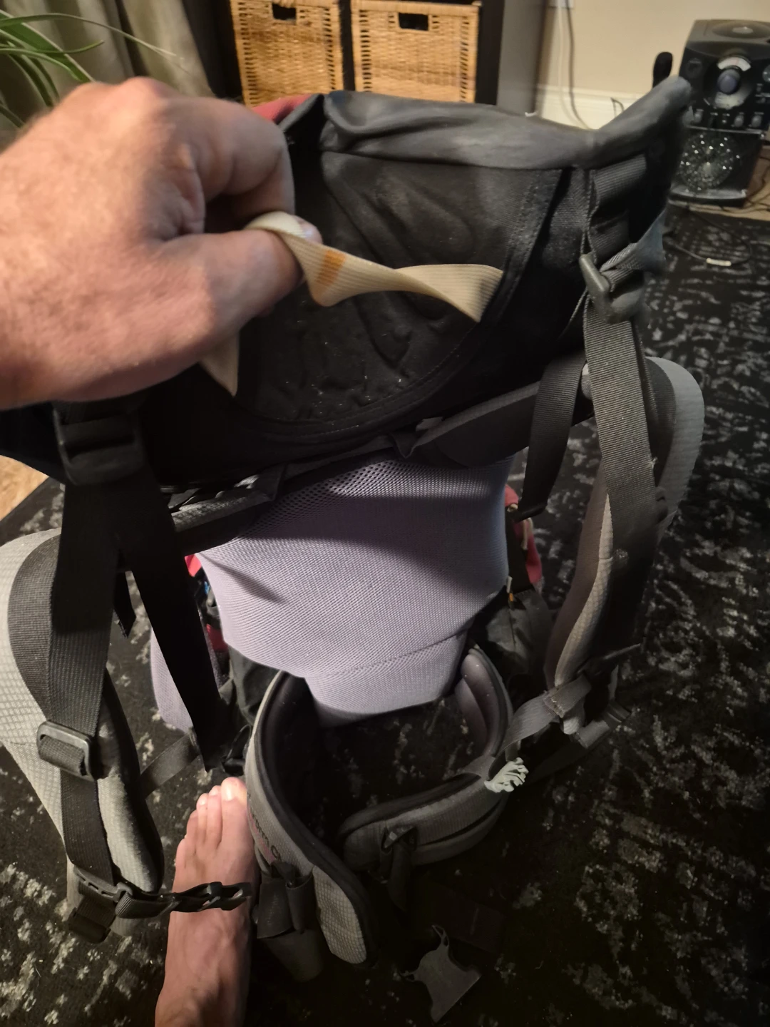 Osprey Carrier Backpack - photo 4