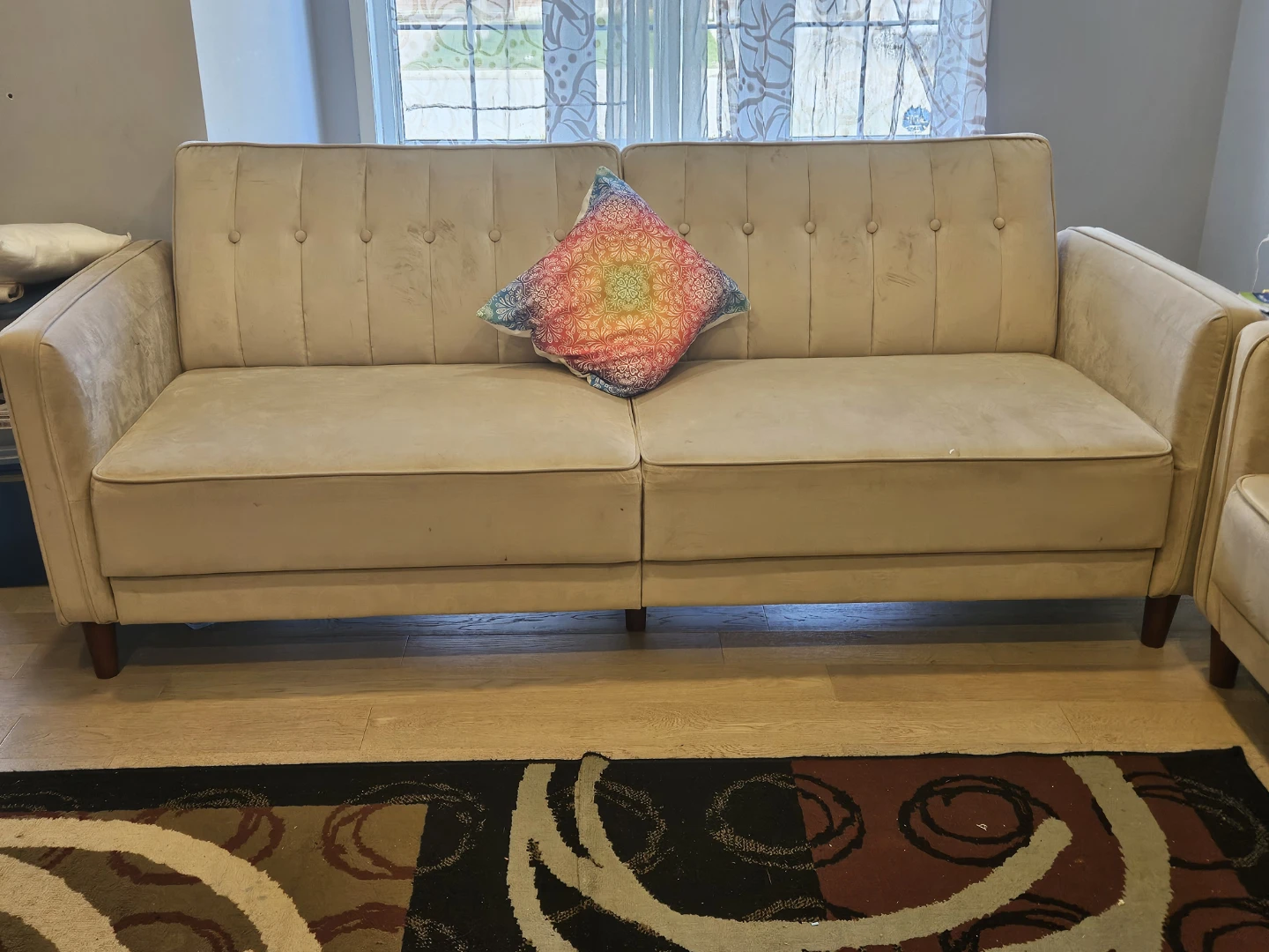 2 Sofa and rug - photo 4