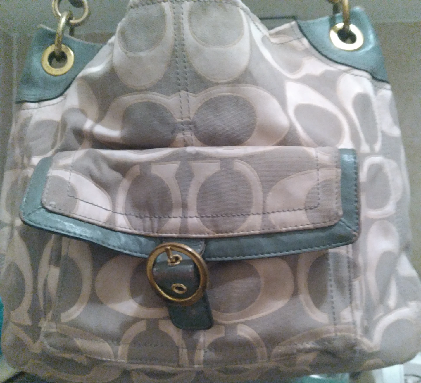 Coach Signature C Hobo Bag