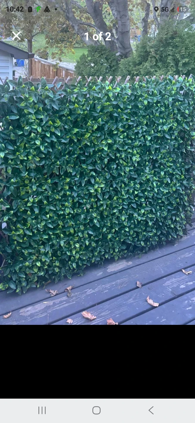 40x40 BOXWOOD PRIVACY SCREEN (2x AVAILABLE) - photo 3