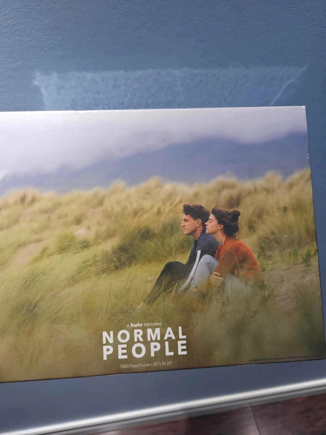 Normal People 1000 Piece Puzzle