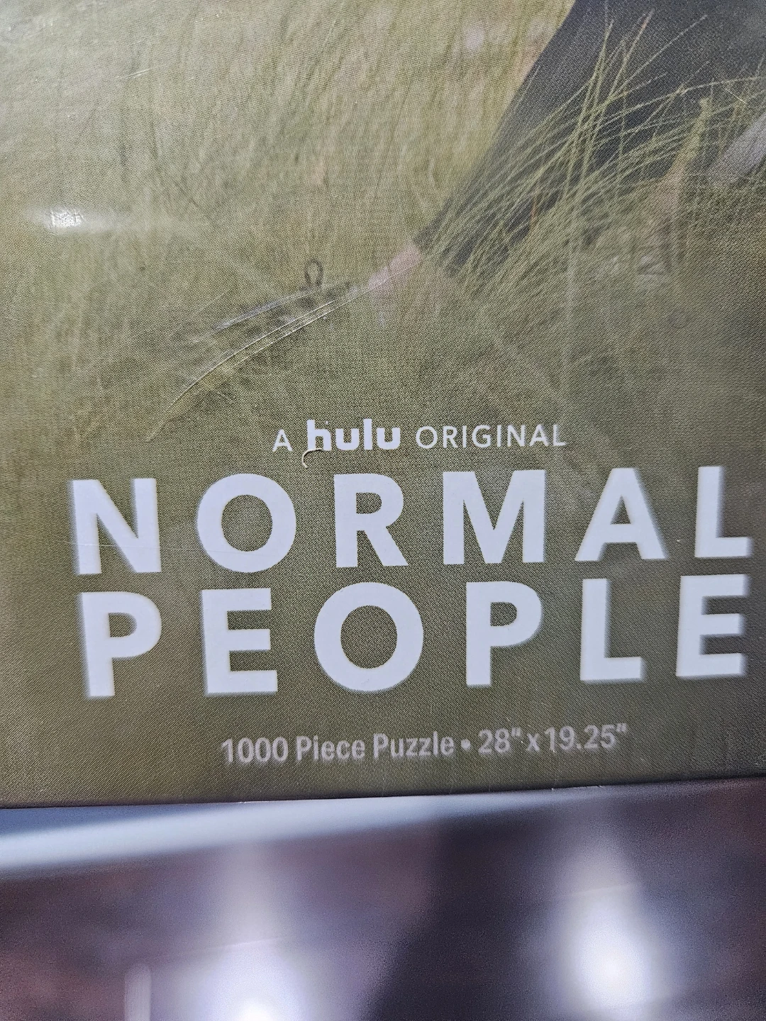 Normal People 1000 Piece Puzzle - photo 2