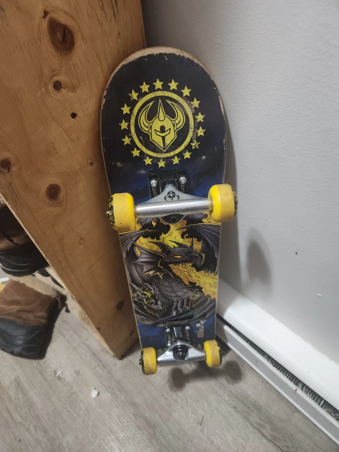 Dragon Skateboard and a scooter