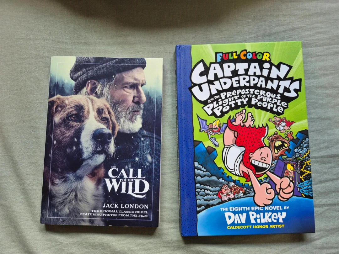Assorted books - photo 3