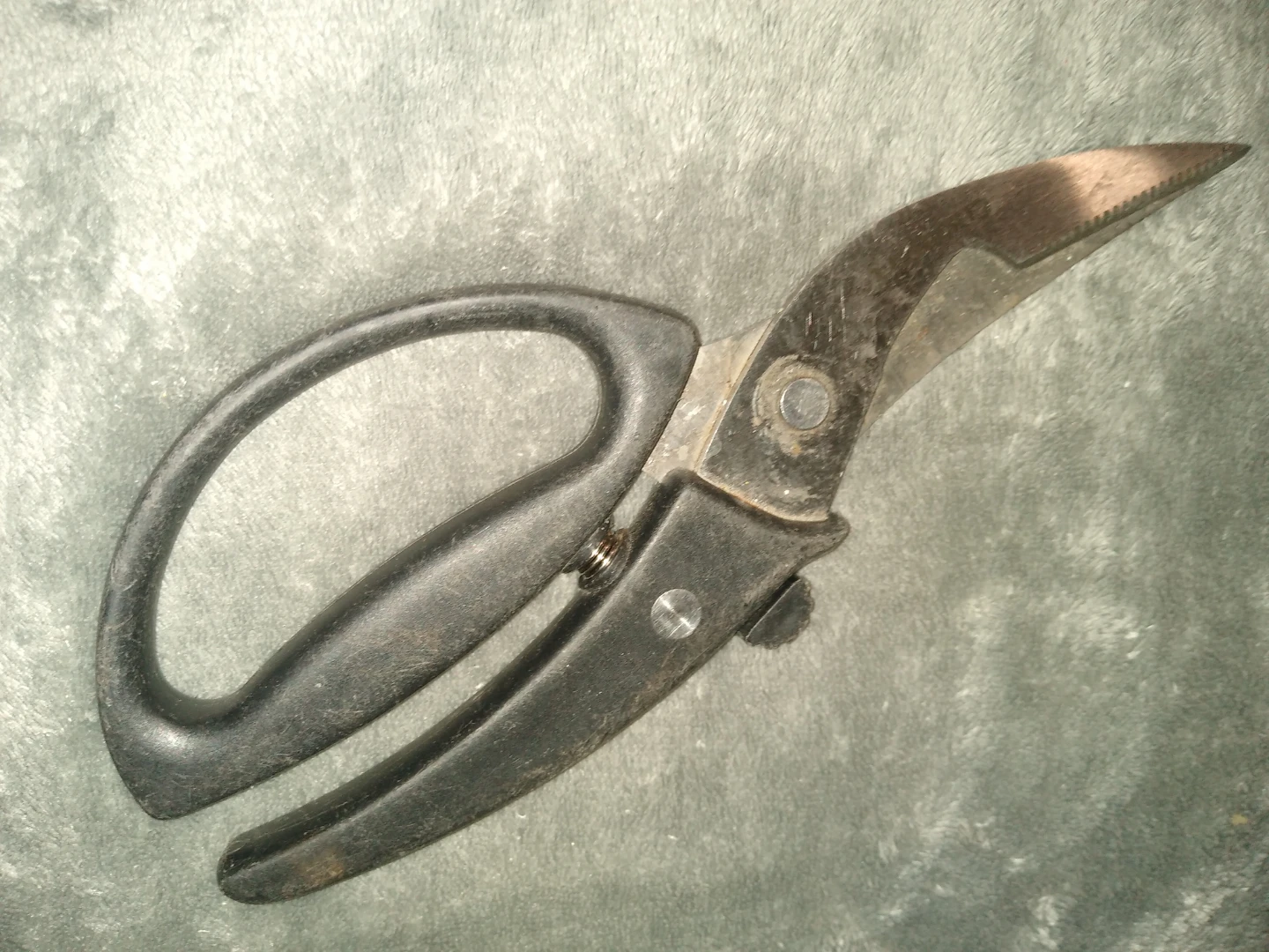 This is a set of Cuisinart kitchen shears