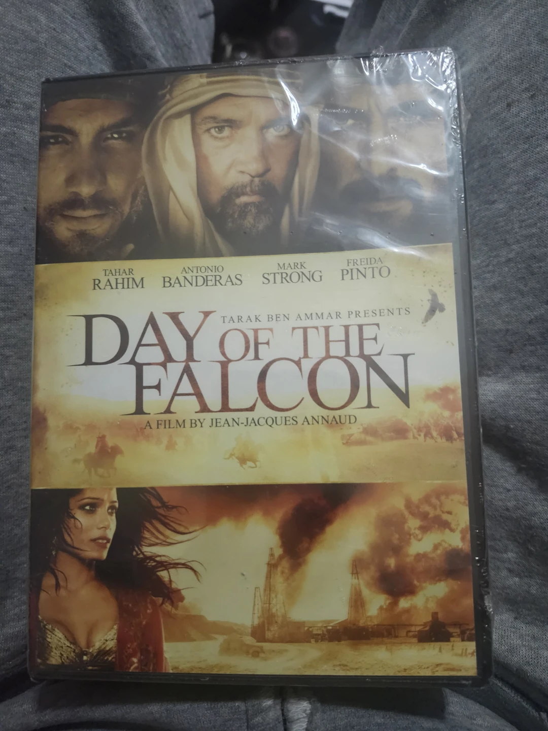 Day of the Falcon DVD