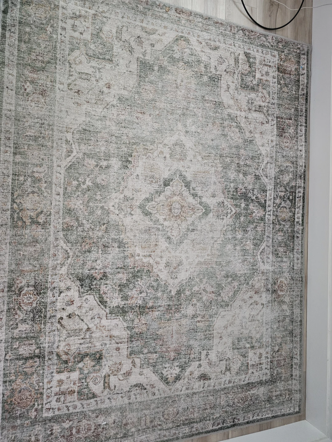 Area Rug - photo 3