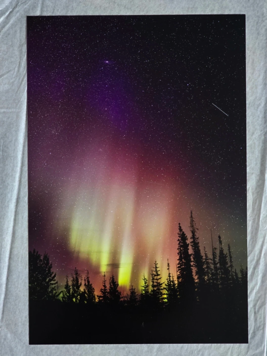 Aurora Borealis Original Photo Print, Northern BC, 12" x 18"