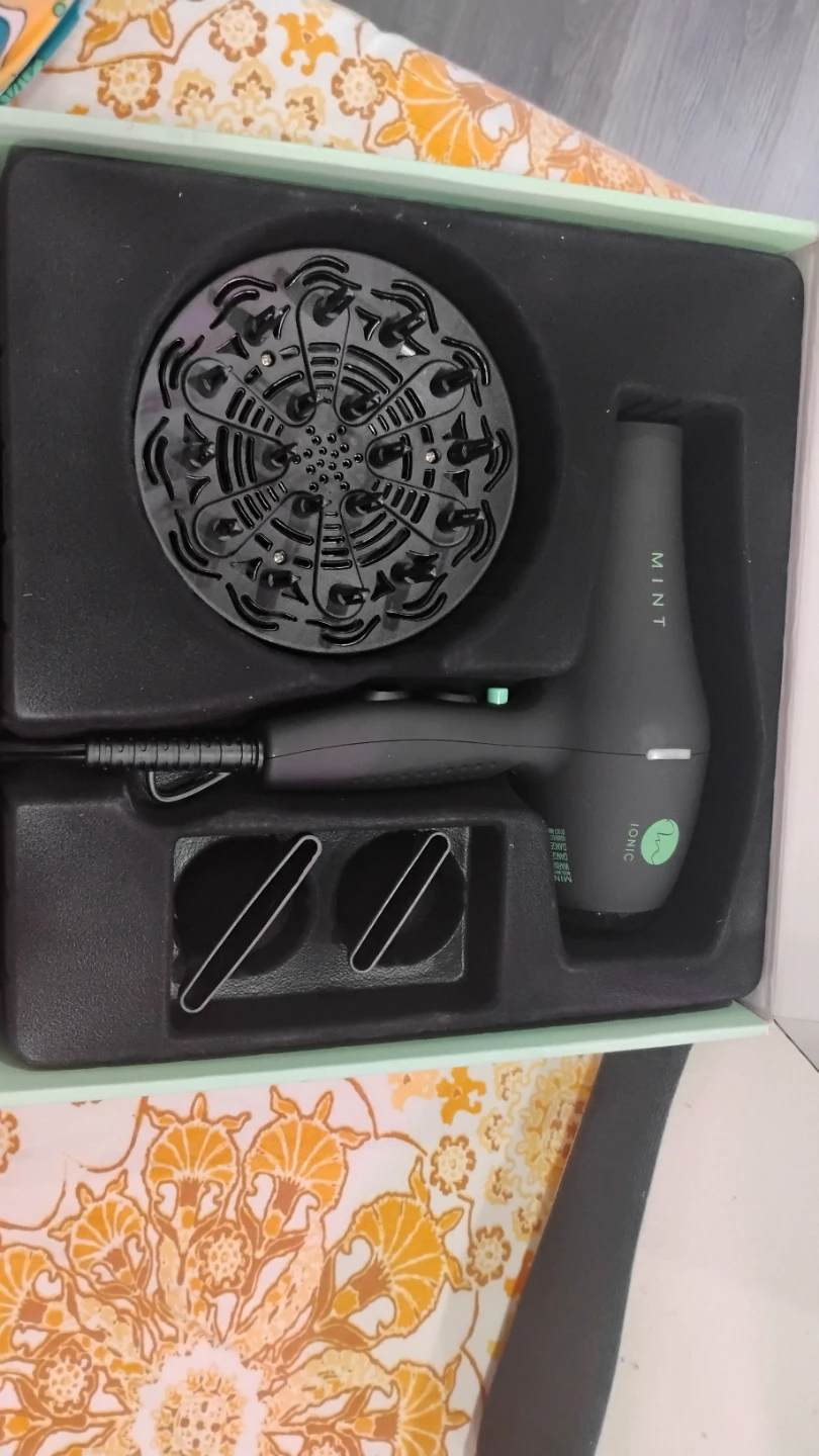 MINT Black Bird Ionic Hair Blow Dryer - photo 2