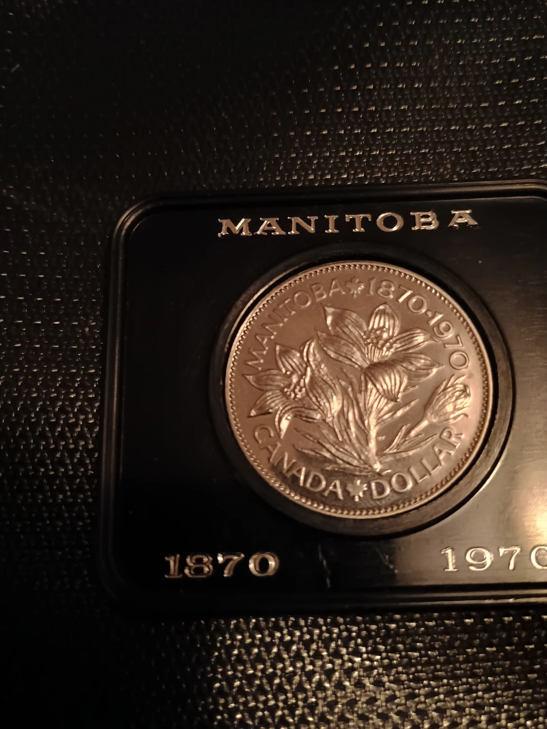 1970 Manitoba Canada Dollar Coin - photo 2
