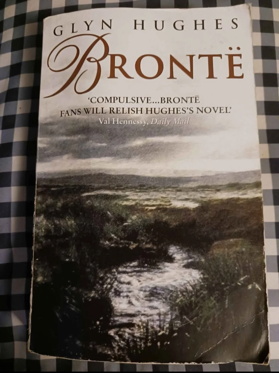 Bronte by Glyn Hughes Novel