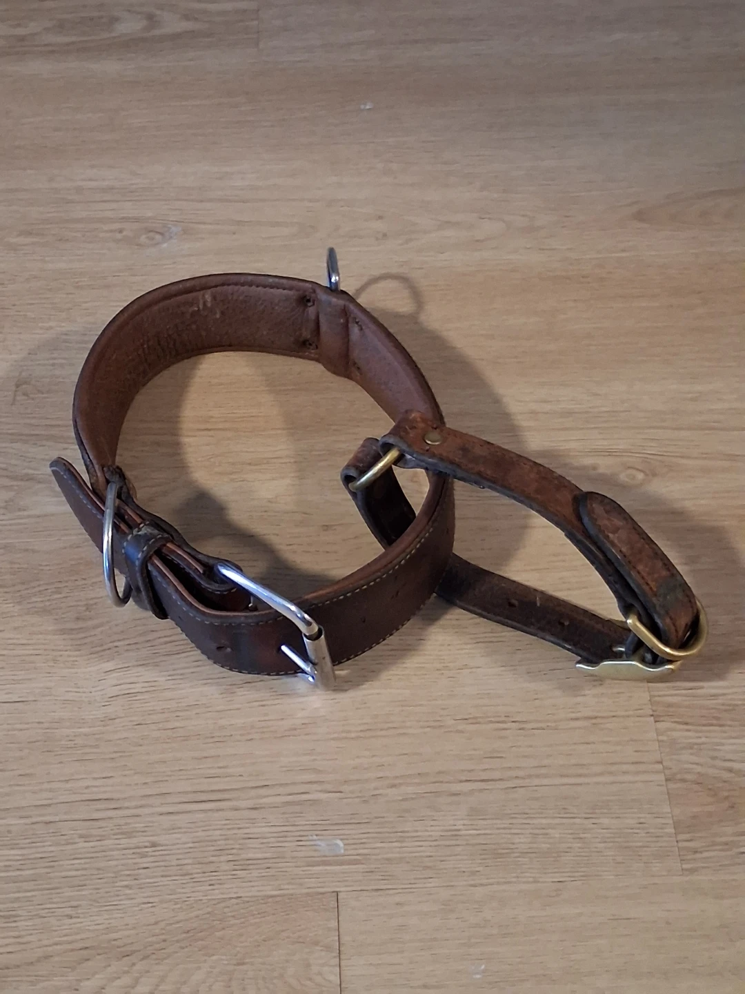 Leather Dog Collar