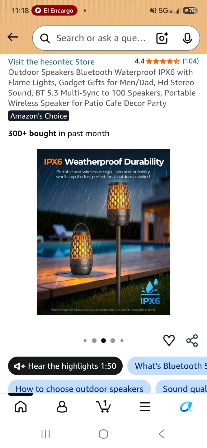 Outdoor Bluetooth Speaker with Flame Lights - photo 4
