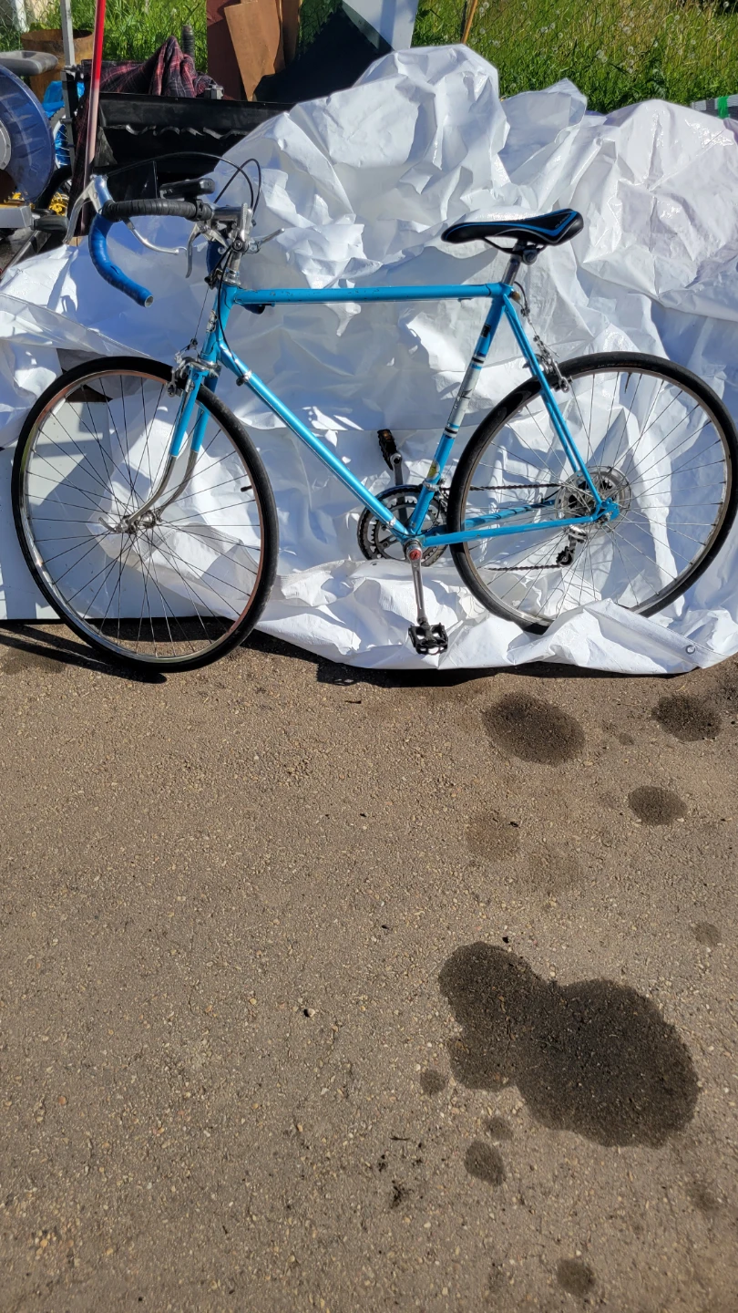 Blue Apollo Road Bike