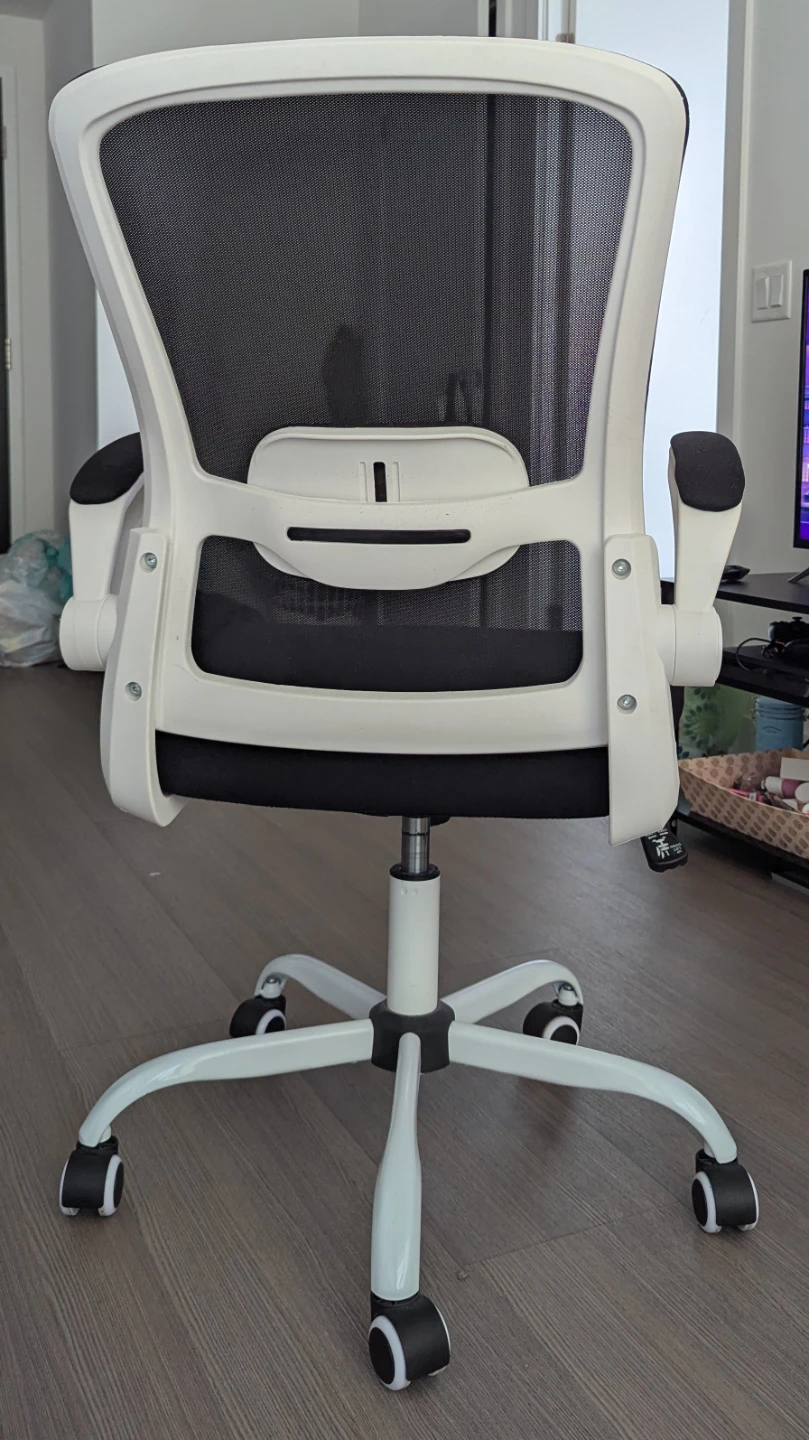 Black Mesh Office Chair with White Accents