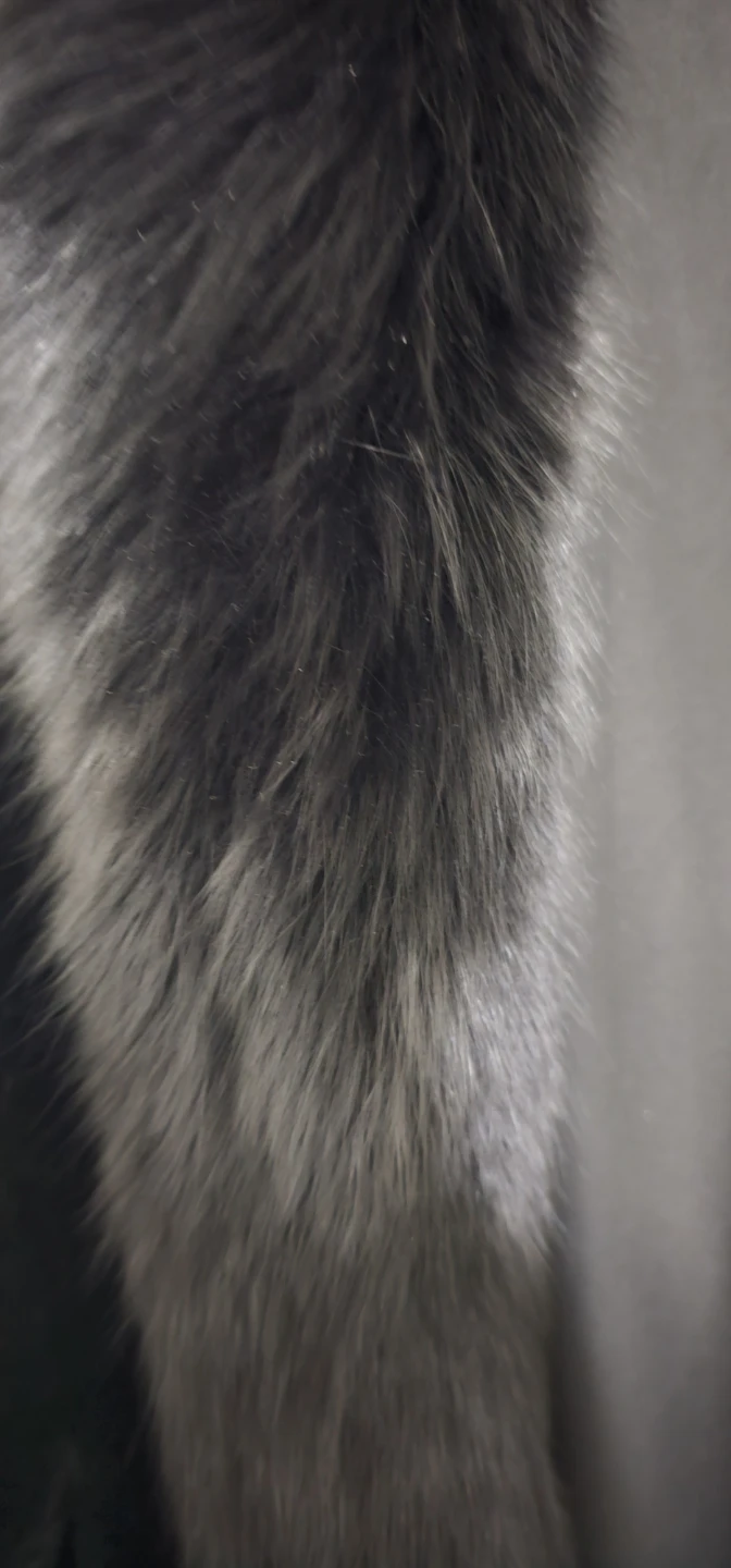 Black Faux Fur Coat with Fox Fur Trim - photo 5