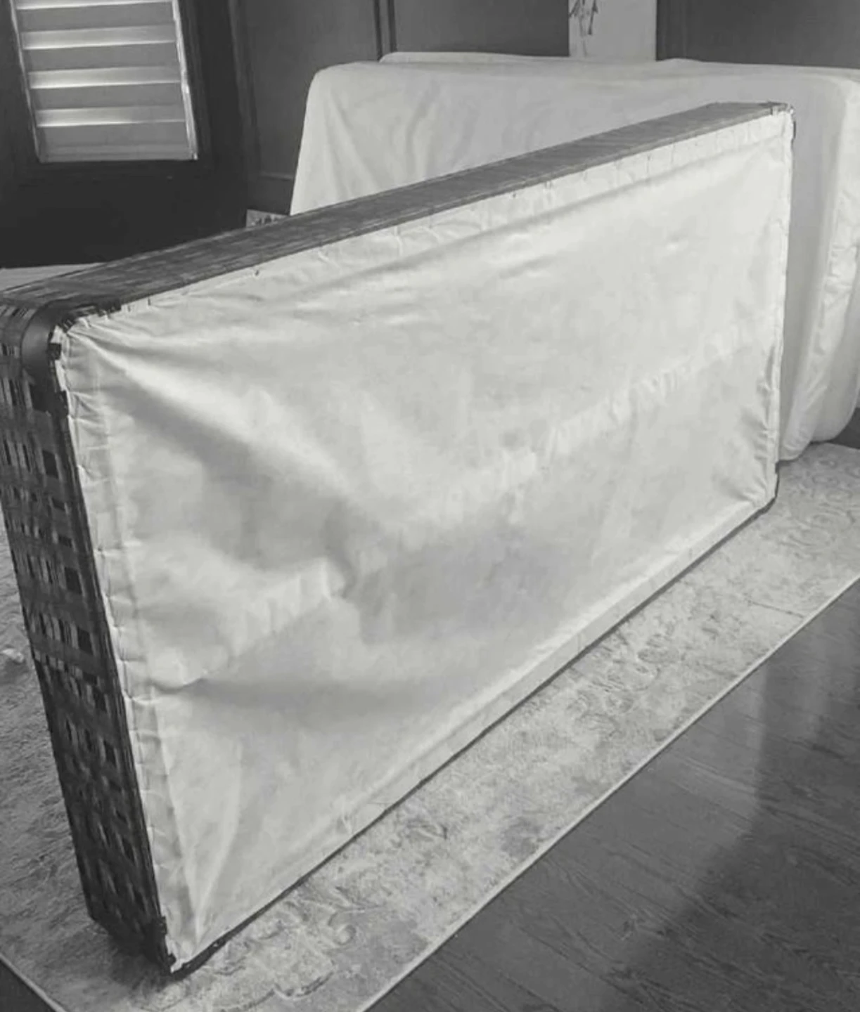 Twin mattress and Box Spring