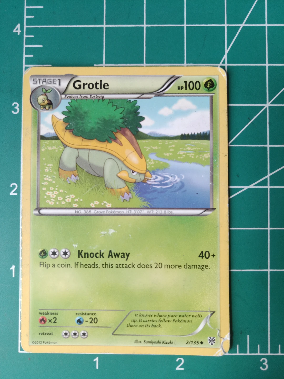 Grotle Pokémon Card