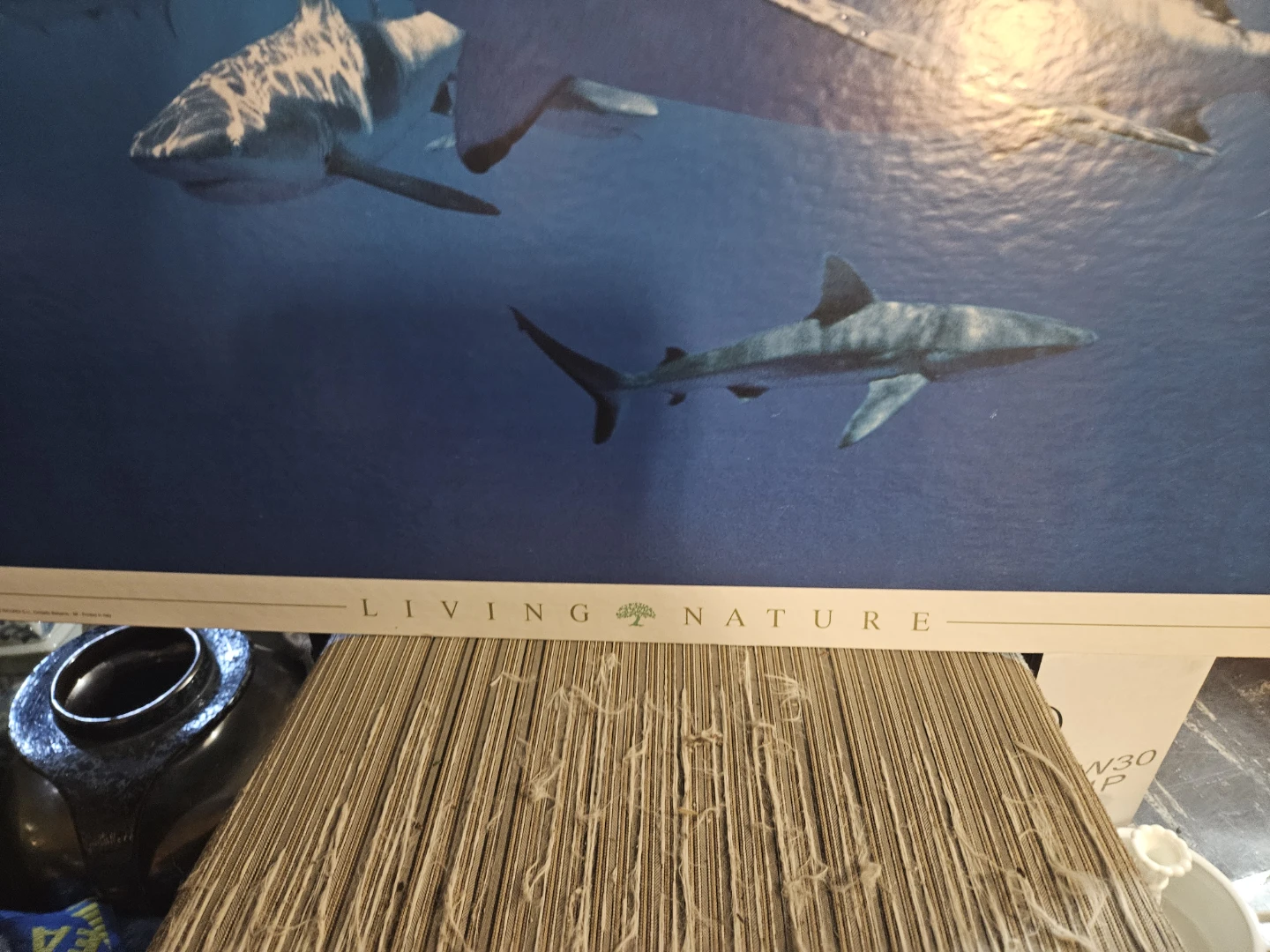 Living Nature Sharks Poster - photo 3