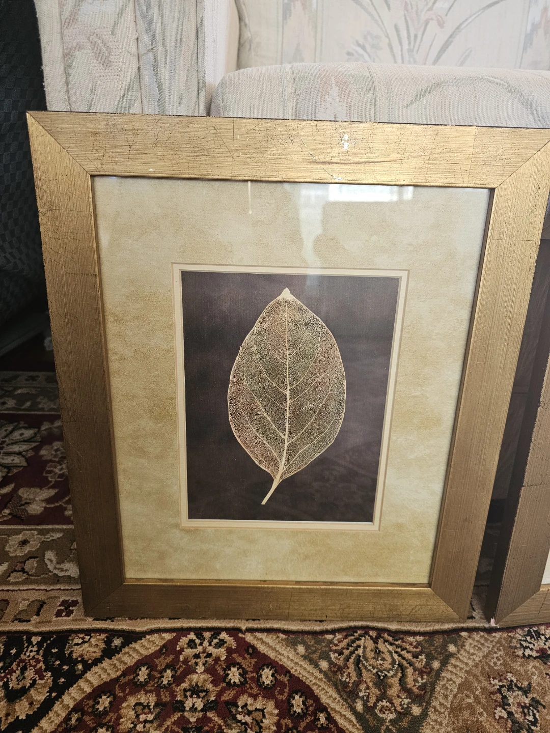 Set of 2 Framed Botanical Art Prints - photo 2