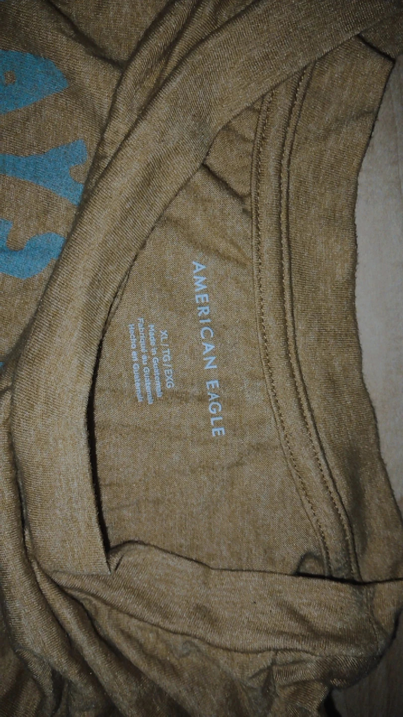 American Eagle Graphic Long Sleeve Shirt - photo 2