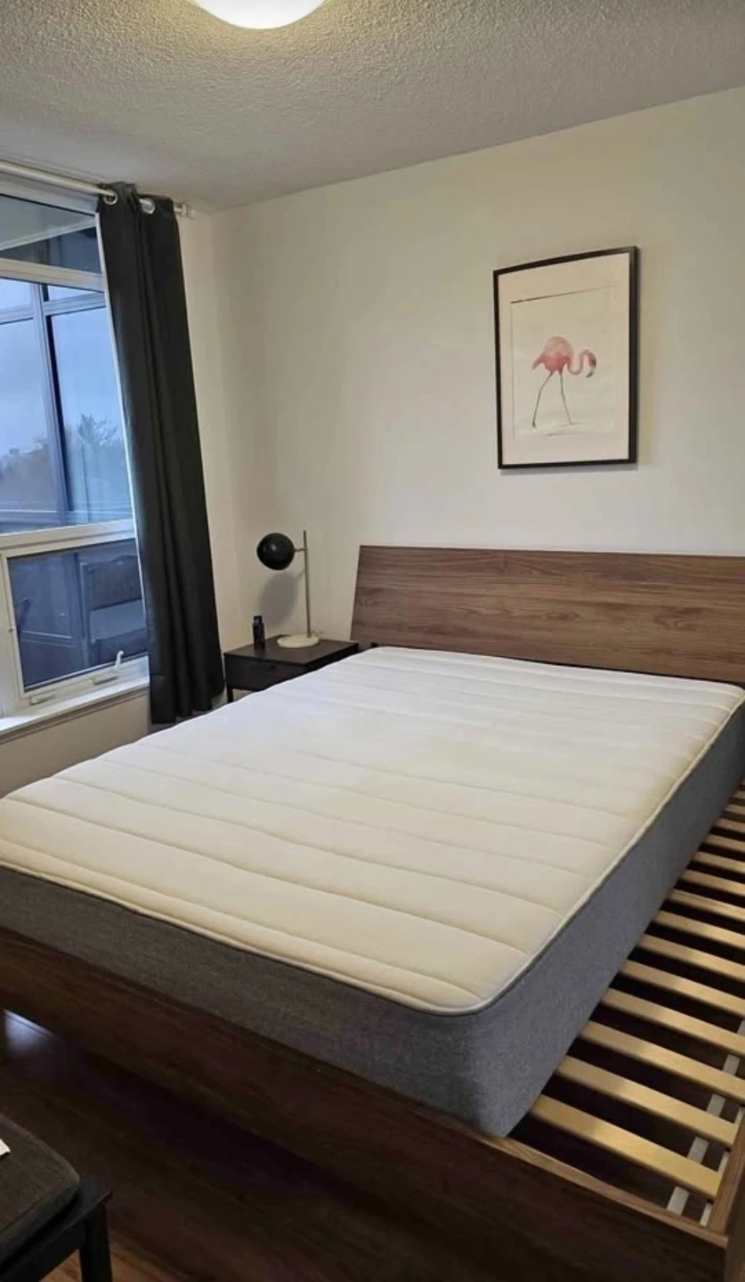 Queen Foam mattress